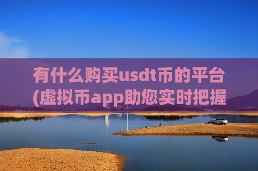 有什么购买usdt币的平台(虚拟币app助您实时把握市场)