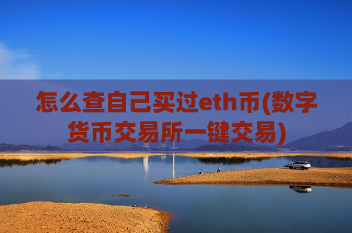 怎么查自己买过eth币(数字货币交易所一键交易)
