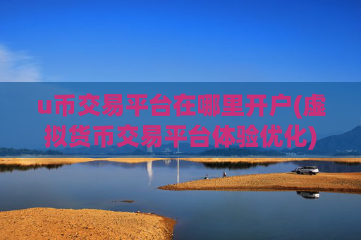 u币交易平台在哪里开户(虚拟货币交易平台体验优化)
