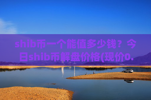 shib币一个能值多少钱?今日shib币解盘价格(现价0.00021939元)