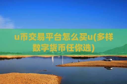 u币交易平台怎么买u(多样数字货币任你选)