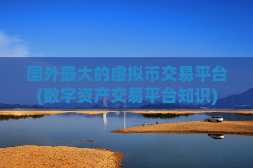 国外最大的虚拟币交易平台(数字资产交易平台知识)
