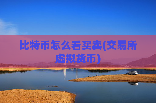 比特币怎么看买卖(交易所虚拟货币)