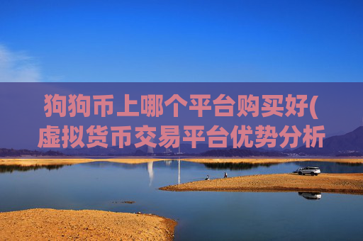狗狗币上哪个平台购买好(虚拟货币交易平台优势分析)
