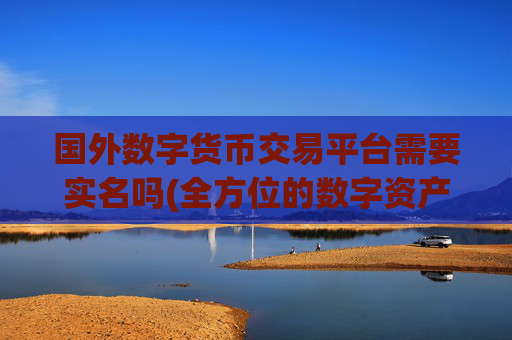 国外数字货币交易平台需要实名吗(全方位的数字资产交易所服务)