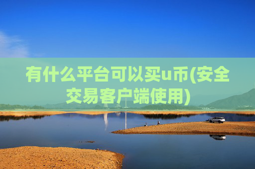 有什么平台可以买u币(安全交易客户端使用)