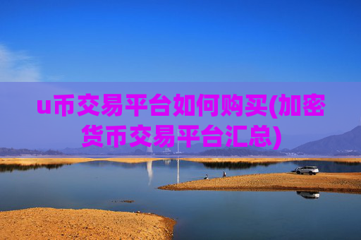 u币交易平台如何购买(加密货币交易平台汇总)