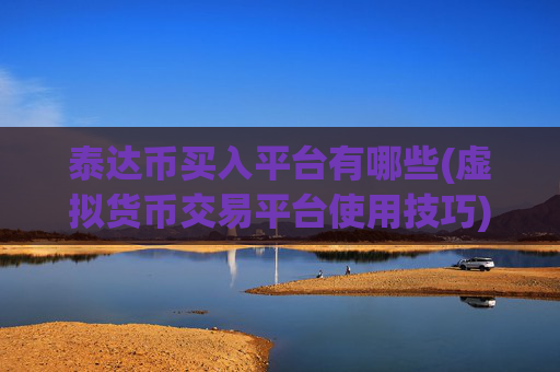 泰达币买入平台有哪些(虚拟货币交易平台使用技巧)