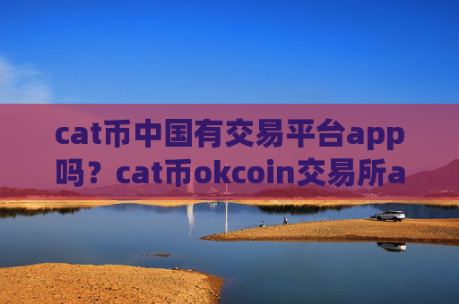 cat币中国有交易平台app吗？cat币okcoin交易所app下载官网登录