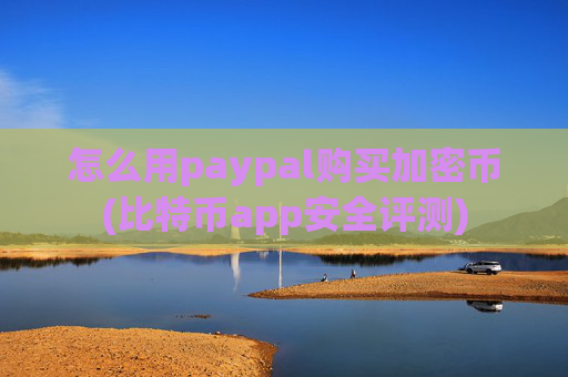 怎么用paypal购买加密币(比特币app安全评测)