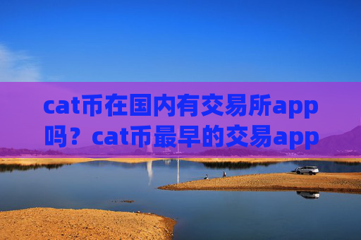 cat币在国内有交易所app吗?cat币最早的交易app下载是