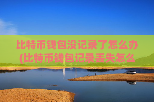 比特币钱包没记录了怎么办(比特币钱包记录丢失怎么办)