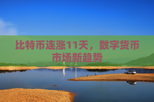 比特币连涨11天,数字货币市场新趋势