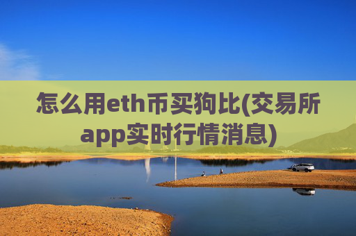 怎么用eth币买狗比(交易所app实时行情消息)