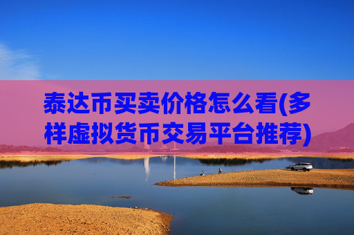 泰达币买卖价格怎么看(多样虚拟货币交易平台推荐)