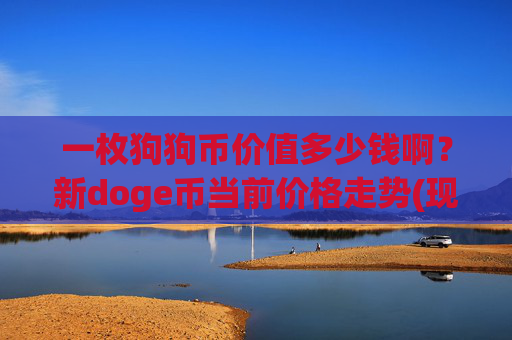 一枚狗狗币价值多少钱啊？新doge币当前价格走势(现价3.0157元)
