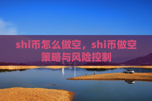 shi币怎么做空,shi币做空策略与风险控制