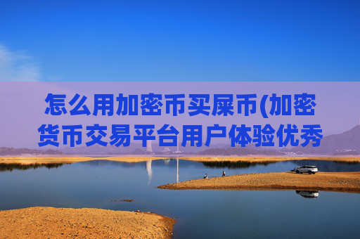 怎么用加密币买屎币(加密货币交易平台用户体验优秀)