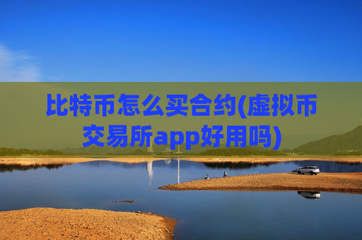 比特币怎么买合约(虚拟币交易所app好用吗)