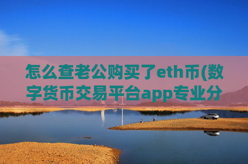 怎么查老公购买了eth币(数字货币交易平台app专业分析)