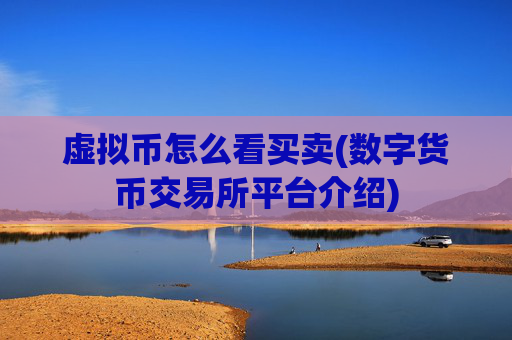 虚拟币怎么看买卖(数字货币交易所平台介绍)