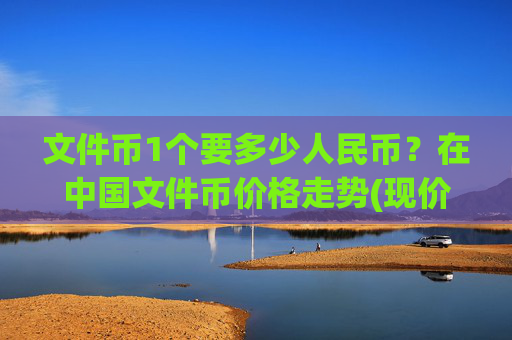 文件币1个要多少人民币?在中国文件币价格走势(现价58.7359元)