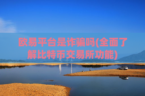 欧易平台是诈骗吗(全面了解比特币交易所功能)
