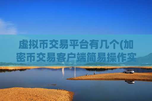 虚拟币交易平台有几个(加密币交易客户端简易操作实用)