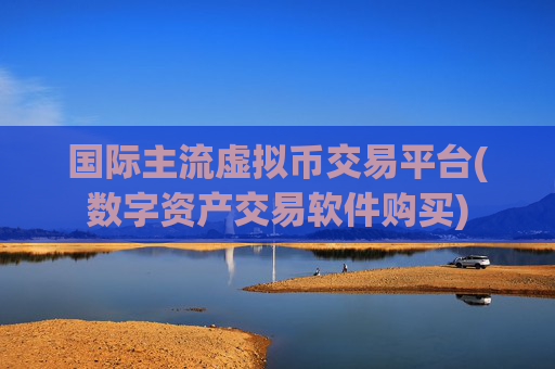 国际主流虚拟币交易平台(数字资产交易软件购买)