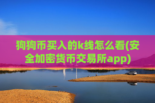 狗狗币买入的k线怎么看(安全加密货币交易所app)