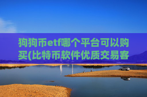 狗狗币etf哪个平台可以购买(比特币软件优质交易客户端)