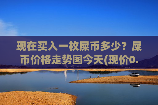 现在买入一枚屎币多少?屎币价格走势图今天(现价0.0001607元)