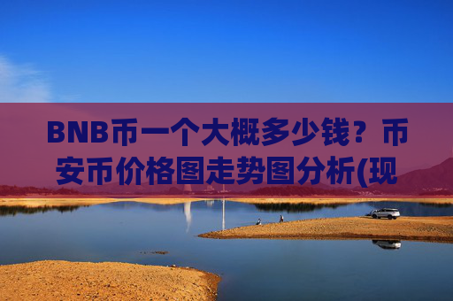 BNB币一个大概多少钱?币安币价格图走势图分析(现价4844.14元)