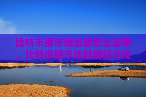 比特币提币地址是怎么回事,比特币提币地址解析与使用指南