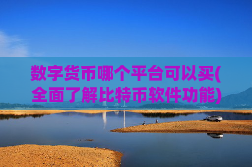 数字货币哪个平台可以买(全面了解比特币软件功能)