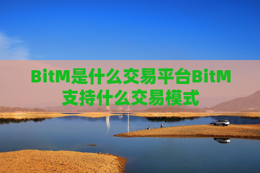 BitM是什么交易平台BitM支持什么交易模式