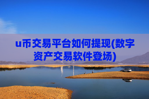 u币交易平台如何提现(数字资产交易软件登场)