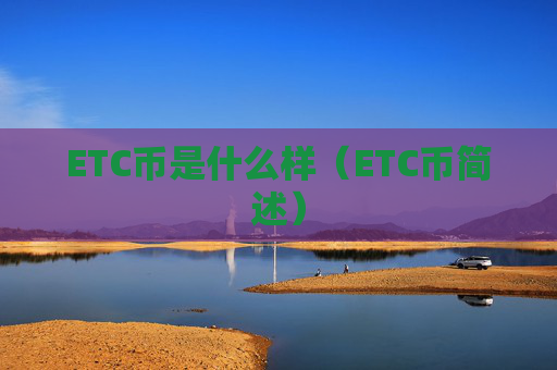 ETC币是什么样（ETC币简述）