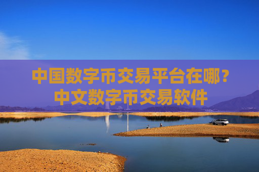 中国数字币交易平台在哪？中文数字币交易软件