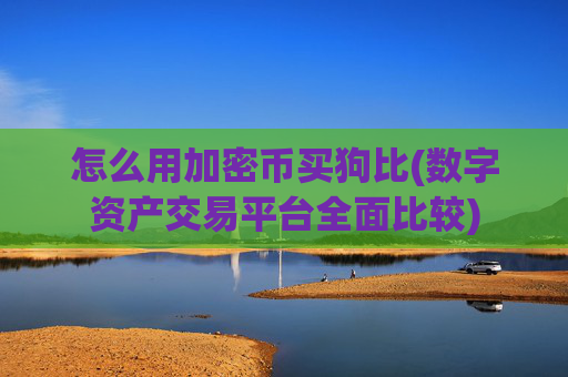 怎么用加密币买狗比(数字资产交易平台全面比较)