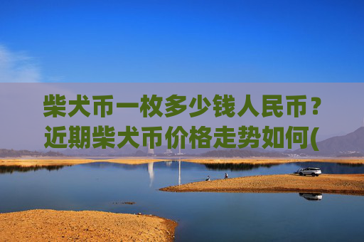 柴犬币一枚多少钱人民币？近期柴犬币价格走势如何(现价0.00021824元)