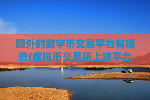 国外的数字币交易平台有哪些(虚拟币交易所上线平台)