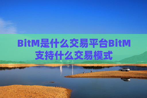 BitM是什么交易平台BitM支持什么交易模式