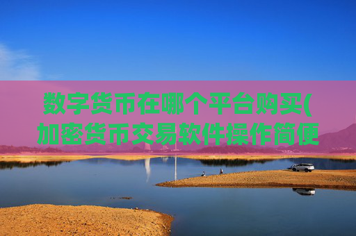 数字货币在哪个平台购买(加密货币交易软件操作简便)