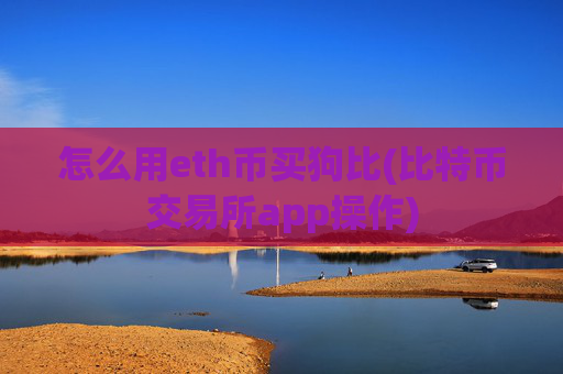 怎么用eth币买狗比(比特币交易所app操作)