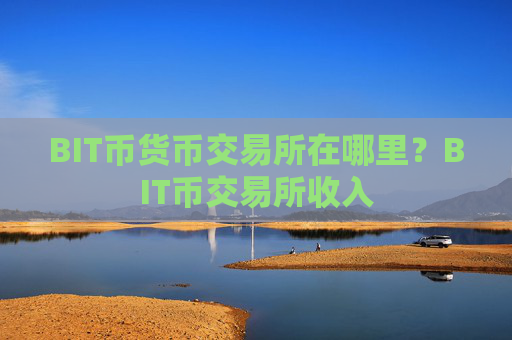 BIT币货币交易所在哪里？BIT币交易所收入