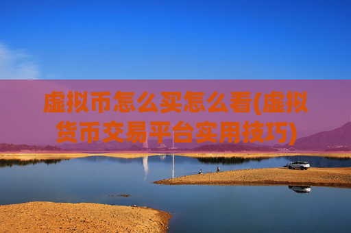 虚拟币怎么买怎么看(虚拟货币交易平台实用技巧)