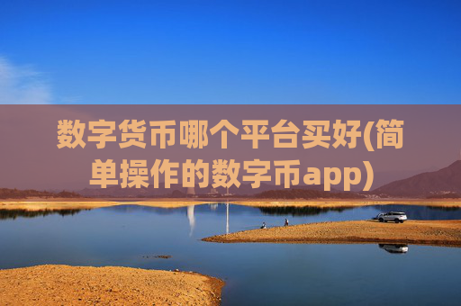 数字货币哪个平台买好(简单操作的数字币app)