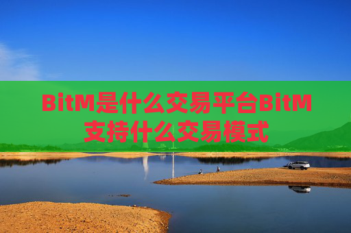 BitM是什么交易平台BitM支持什么交易模式