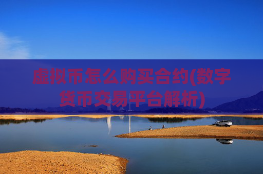 虚拟币怎么购买合约(数字货币交易平台解析)